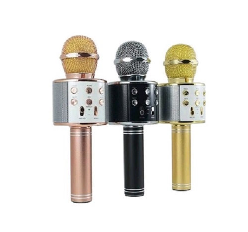 Microfono Altoparlante Bluetooth Wireless Karaoke con cassa integrata. -  EnterElettronics - I Professionisti dell'Elettronica